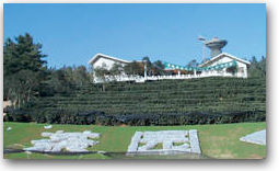 scggy.jpg (12827 bytes)