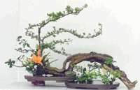 cd8161.gif (17176 bytes)