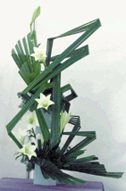 cd8162.gif (20571 bytes)