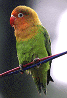 830n4.gif (18649 bytes)