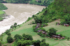 cd8231.gif (34389 bytes)