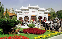 qly.JPG (25893 bytes)