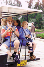 wgr.gif (30100 bytes)