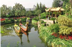 xh08113.jpg (25521 bytes)