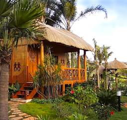 hainan.jpg (15054 bytes)