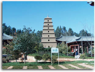 shuanxi.jpg (19070 bytes)