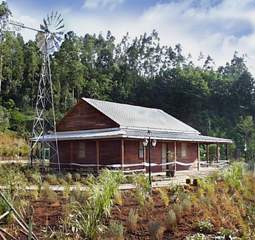 aodaliya.jpg (15116 bytes)