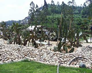 sudan.jpg (21974 bytes)