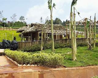 yuenan.jpg (18612 bytes)