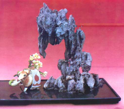 �����ٹ�