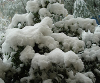 Heavy snow hits north China