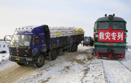 Forage transported to Altay to ease stock shortage due to snow
