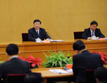 Chinese Vice President Xi Jinping stresses party building at grassroots level 