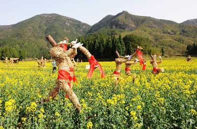 Straw men decorate golden cole flower field