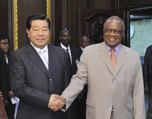 China, Namibia discuss how to further develop traditional ties