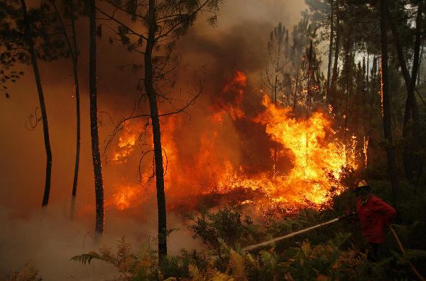 Wild fires ravage Portugal