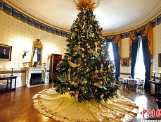 White House Christmas tree unveiled