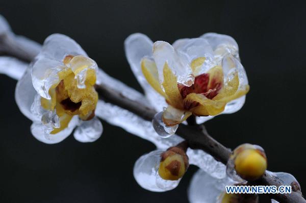 Freezing weather continues across southern China
