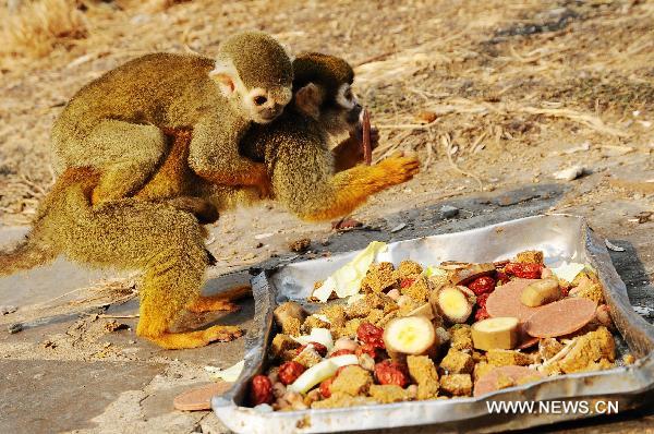 Animals have Laba feast