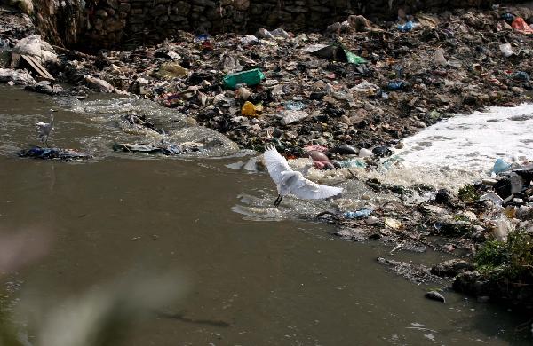 Solid waste contaminates Nepal's Bagmati River