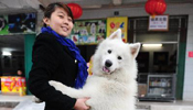 Pets entrusted to pet stores during Spring Festival holiday