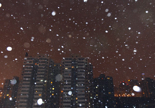 Beijing embraces first snow 