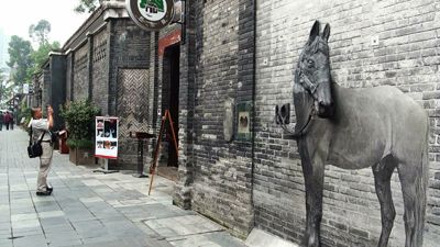 Between the Wide and Narrow Alleys in Chengdu