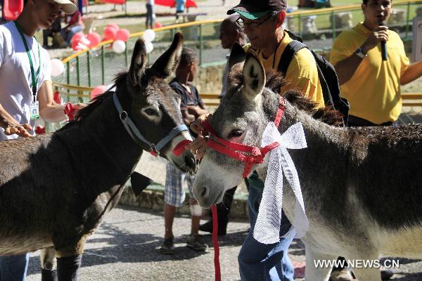 Donkeys get married on eve of Valentine's Day