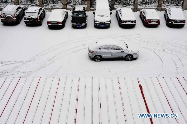 Snowfall hits Harbin city