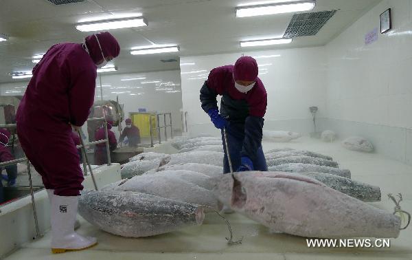 E China's Tuna Processing Base