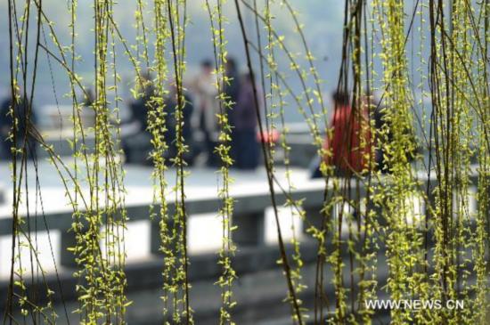 Early spring scenery in China