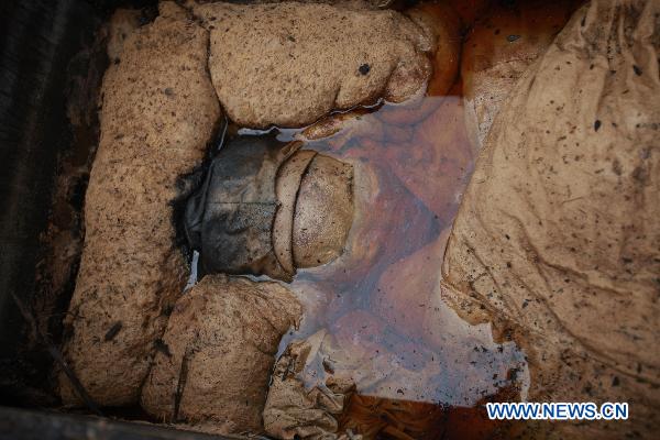 Well-preserved corpse of Ming Dynasty unearthed in E. China
