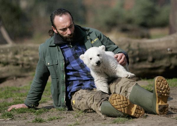 Berlin's polar bear star Knut dies