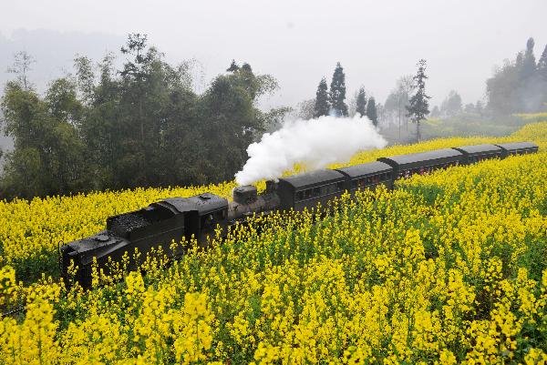 Mini steam engine train in China's Sichuan
