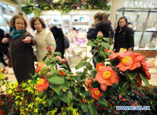 Macy's Flower Show kicks off in New York