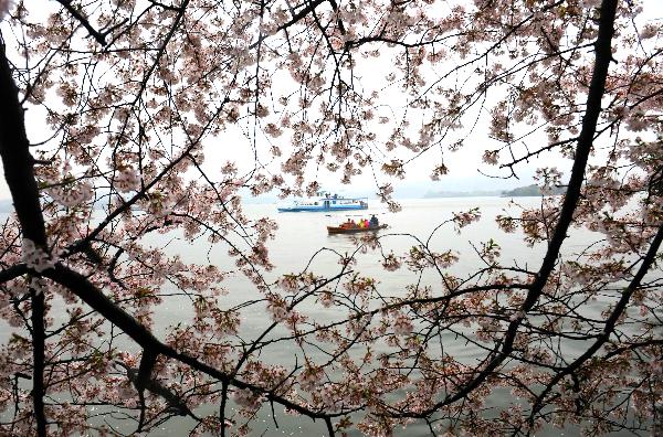 West Lake swarmed with tourists on China's Qingming Festival holidays