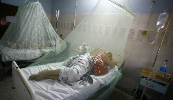 Dengue fever raging in Paraguay with 22 deaths this year