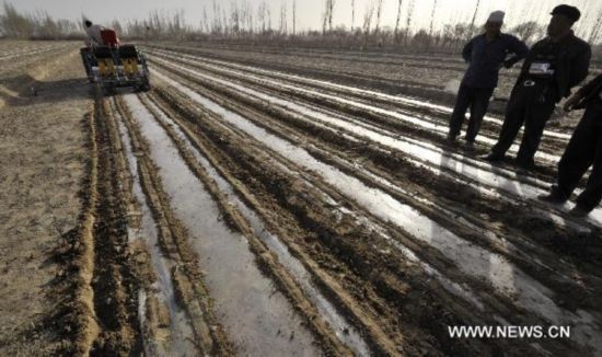 Spring ploughing in full swing in NW China