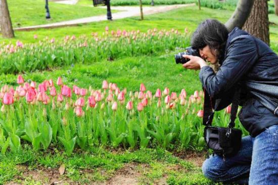 Int'l Istanbul Tulip Festival attracts thousands of tourists