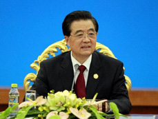 President Hu urges bigger say for emerging economies