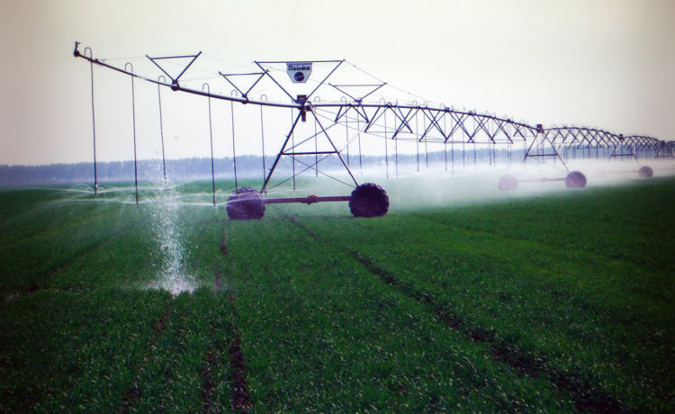 Large-sized walking sprinkler in field operation (People's Daily Online/Jiang Jianhua)