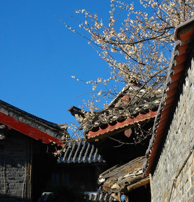 Lijiang, the city along Jade Water (Photo/GMW.cn)