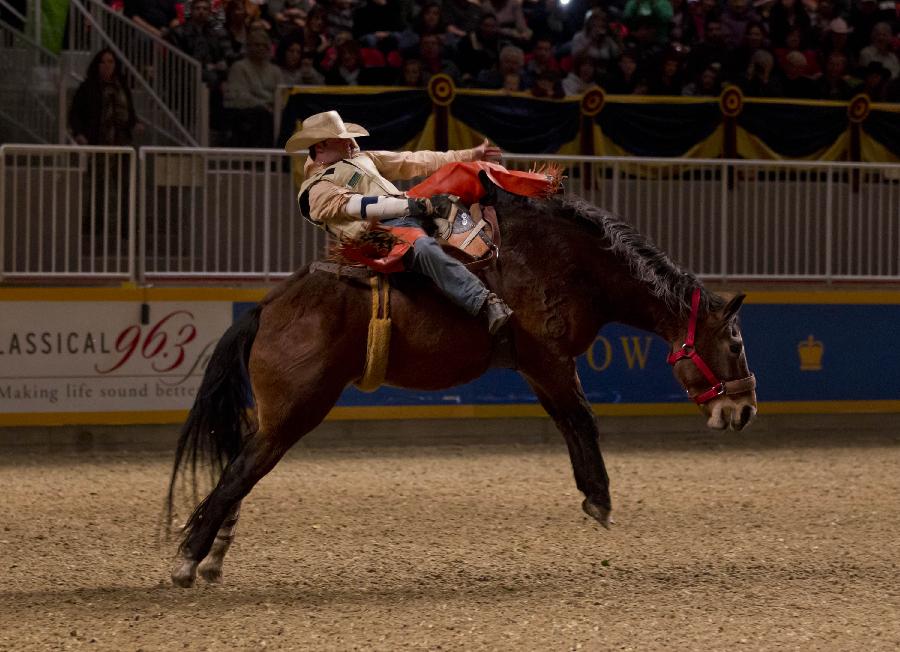 Cowboy Phil Harvey competes during the Rodeo section of the 90th Royal Horse Show in Toronto, Canada, Nov. 4, 2012. (Xinhua/Zou Zheng)