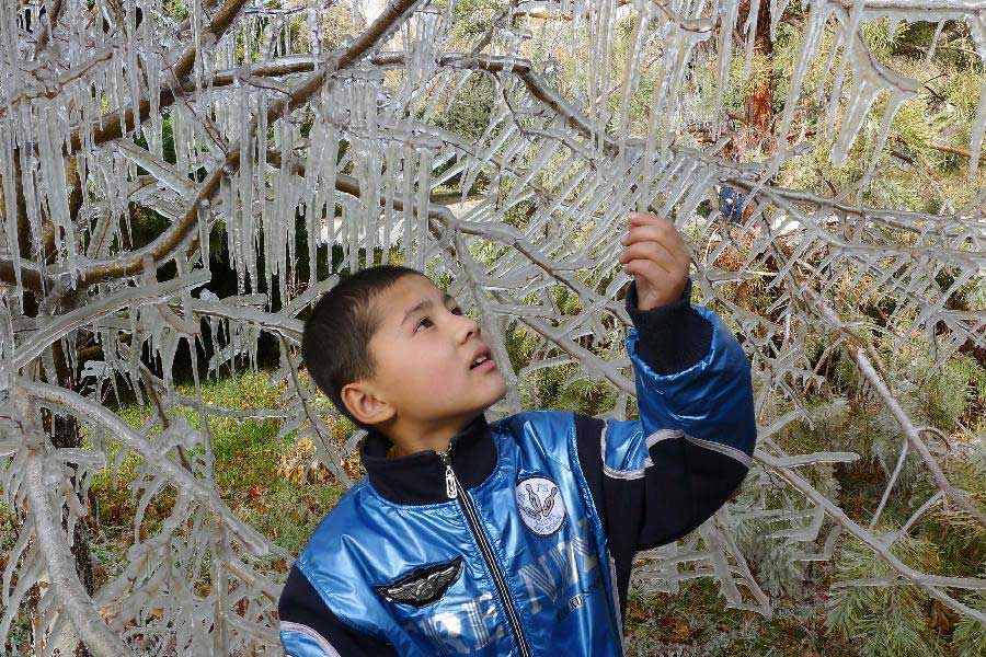 A child enjoys an "ice tree" in Hami City, northwest China's Xinjiang Uygur Autonomous Region, Nov. 4, 2012. Glaze ice and icicles are seen in Hami after strong wind and cold weather swept the city. (Xinhua/Cai Zengle) 