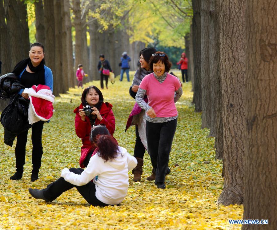 Tourists take photos as they enjoy the autumn view in a ginkgo forest in Beijing, capital of China, Nov. 5, 2012. (Xinhua/Wang Xibao)