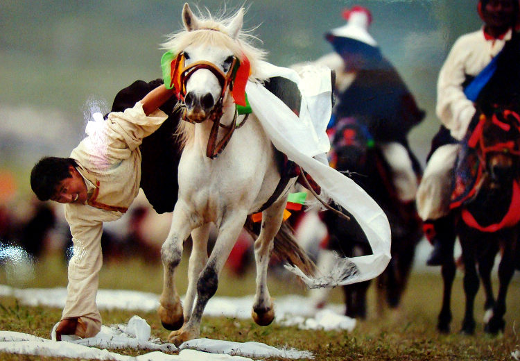 A performance called “picking hada” is presented in Tibaten Horse Racing Festival of 2011. (People's Daily Online/ Jiang Jianhua)