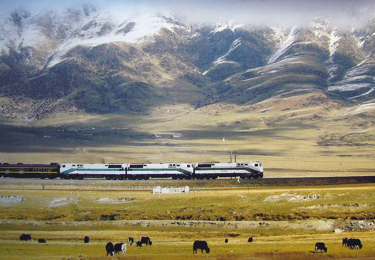 A train from Shanghai to Lhasa passes by the foot of Tanggula Mountain on June 7, 2011. (People's Daily Online/ Jiang Jianhua)