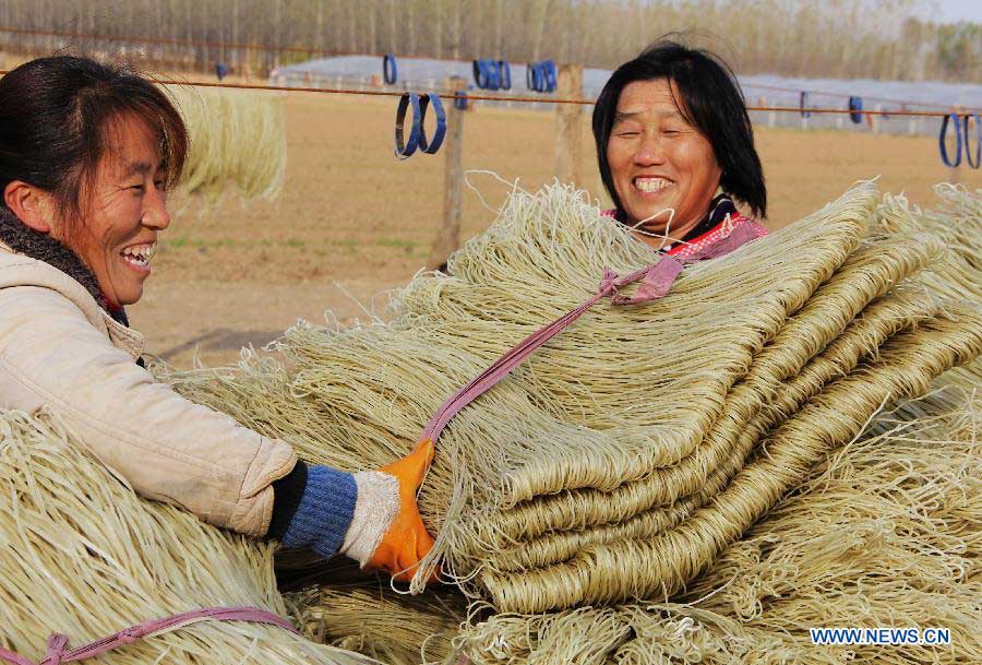 Villagers carry dried sweet potato vermicelli to a truck in Peicun Village of Bocheng Township in Huangxian County, central China's Henan Province, Nov. 4, 2012. More than 100 families in the village live on making sweet potato vermicelli and their annual revenues are able to hit more than four million yuan (640,400 US dollars). (Xinhua/Liu Xiaokun) 