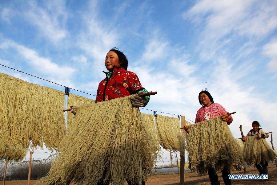 Villagers air sweet potato vermicelli in Peicun Village of Bocheng Township in Huangxian County, central China's Henan Province, Nov. 4, 2012. More than 100 families in the village live on making sweet potato vermicelli and their annual revenues are able to hit more than four million yuan (640,400 US dollars). (Xinhua/Liu Xiaokun) 