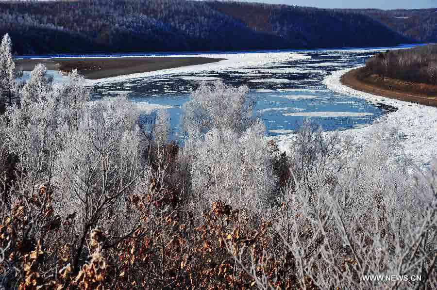Trees are glazed with rime at the Bashili Dawan scenic spot in Huma County, northeast China's Heilongjiang Province, Nov. 7, 2012. The rime scenery here is able to last until late November. (Xinhua/Zhou Changping) 